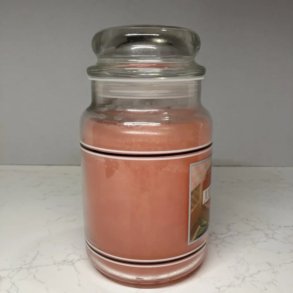Vtg Yankee Candle Blackband Juicy Grapefruit Housewarmer 22oz Pink Retired